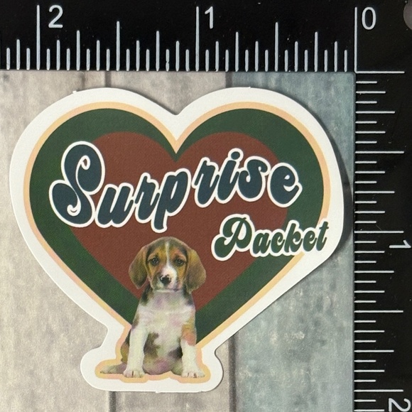 🌀10/$10🌀 Retro Pet Reusable Waterproof Vinyl Sticker Decal - Picture 1 of 1